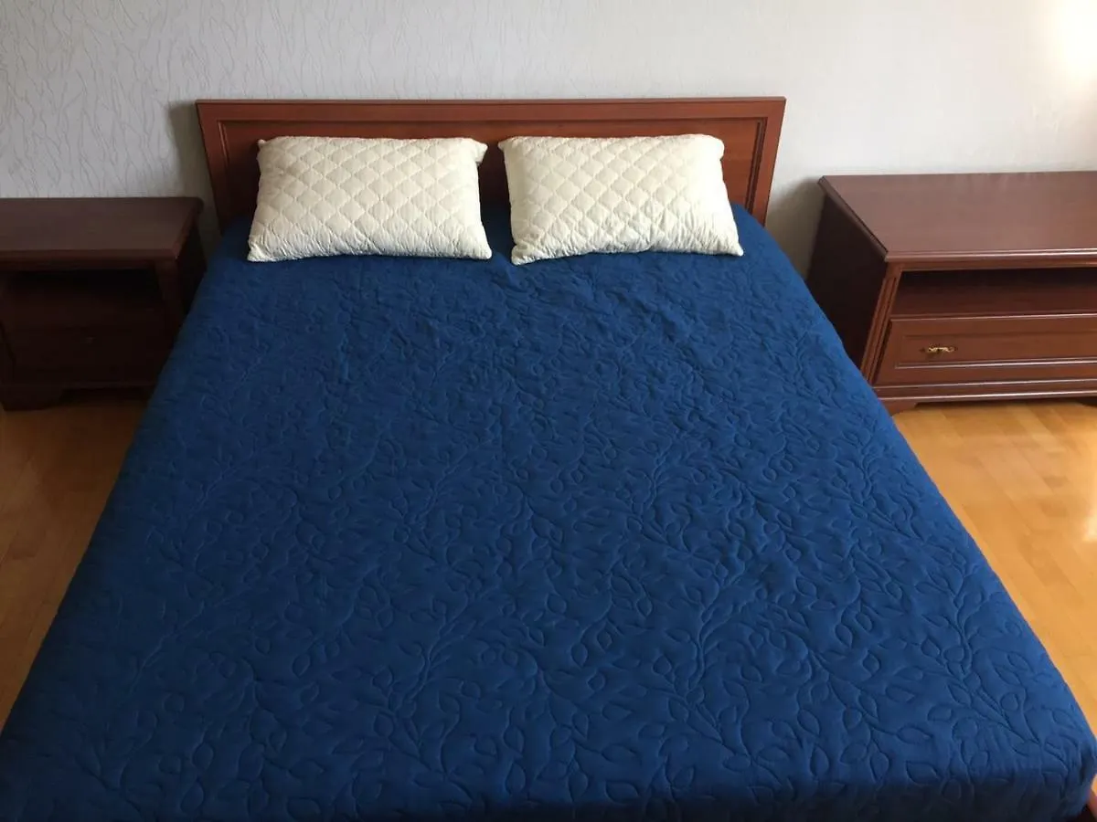 Comfortable Apartment On The Obolon كييف